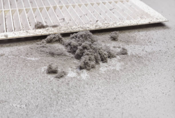 Best Air Duct Cleaning Near Me  in Altamont, TN