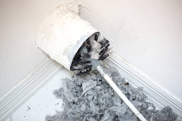 Best Affordable Duct Cleaning Services  in Altamont, TN